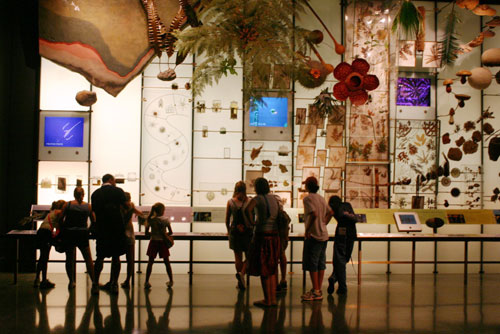  2006: My Year in Pictures 