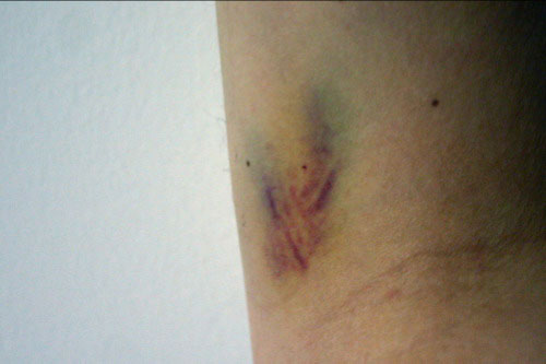  2006: My Year in Pictures 